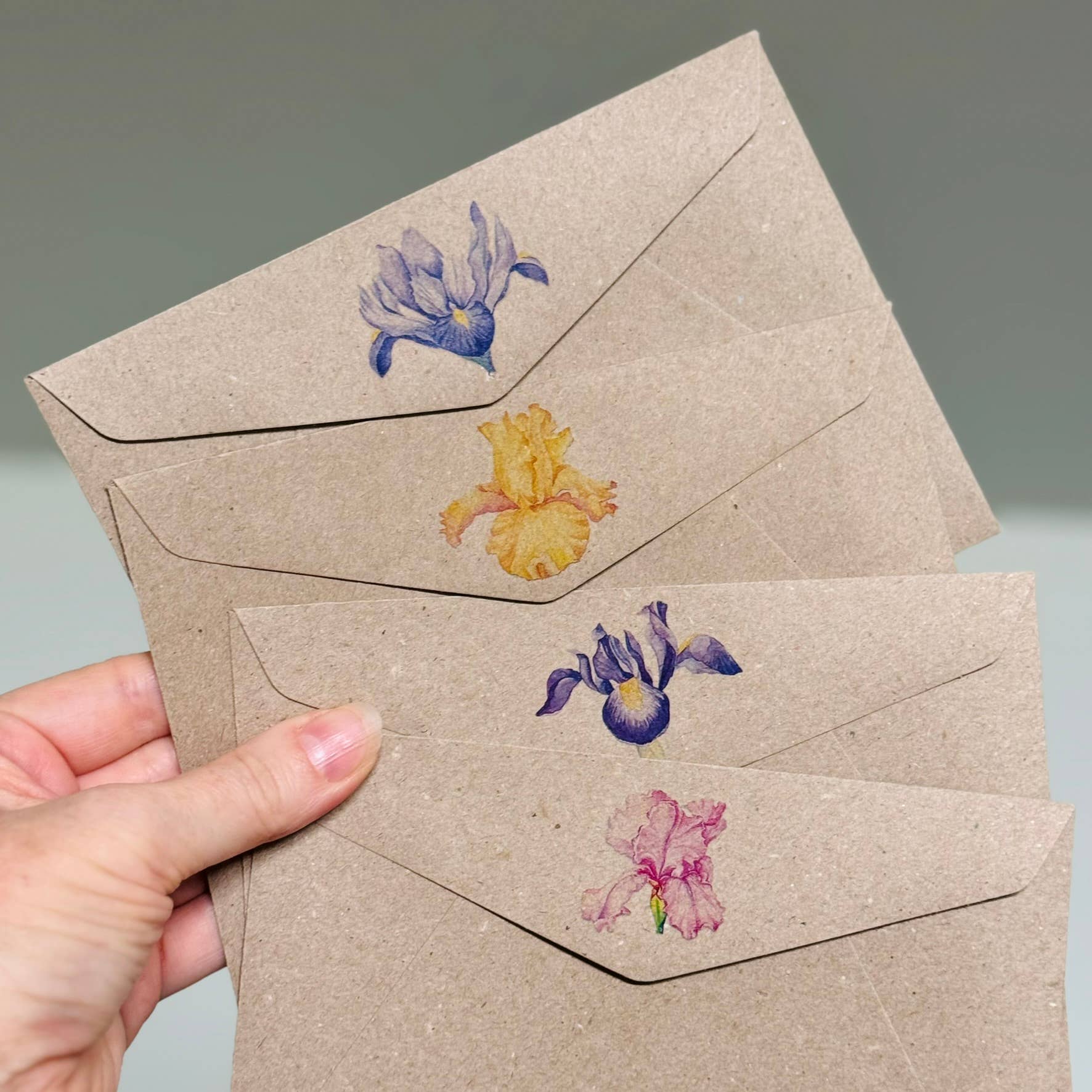 Scattered Seed Co - Wholesale Stationery/Notecard Set - IRIS greeting cards set of 4 Mini or Regular size7