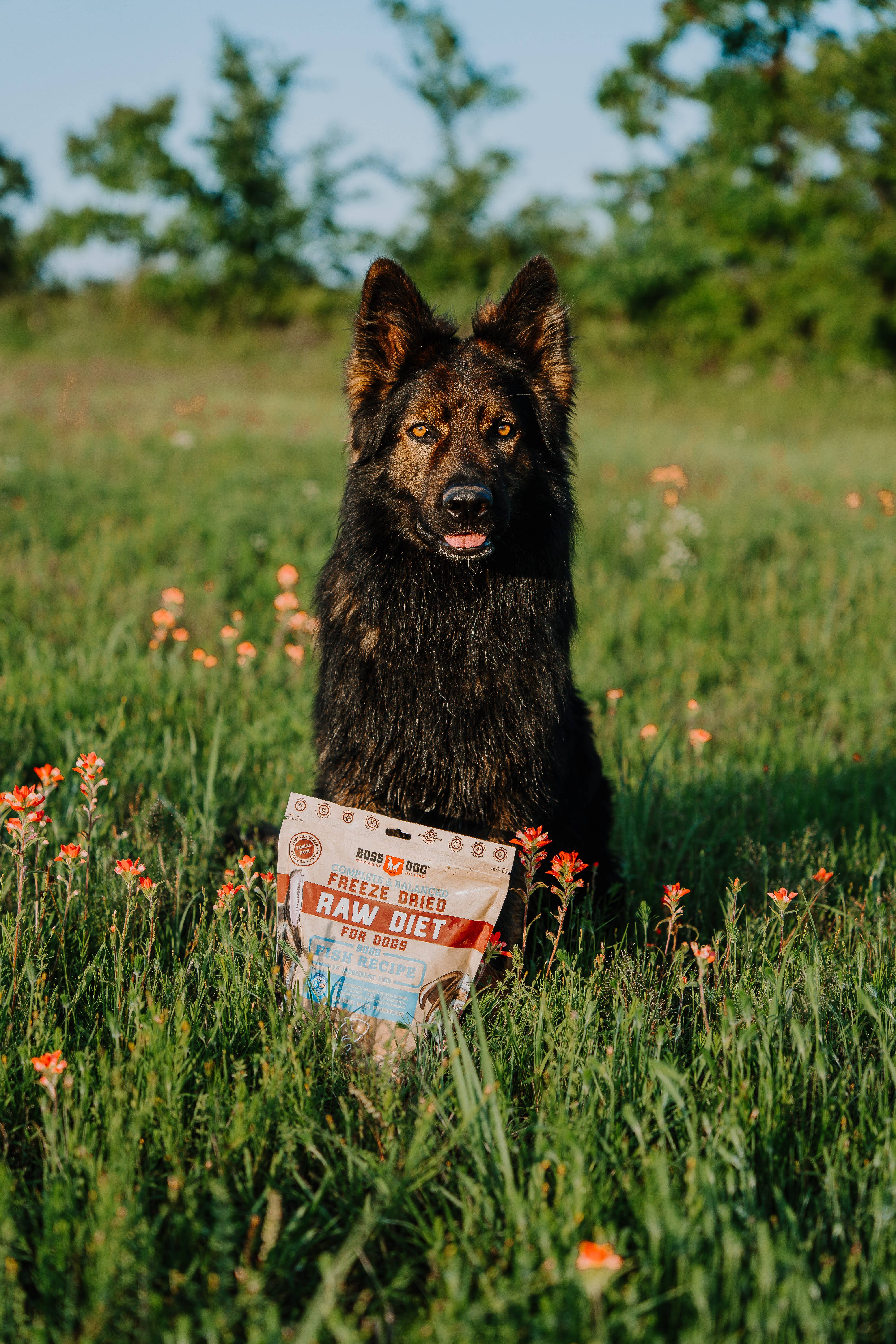 BOSS DOG BRAND, INC. - Wholesale Pet Food - Dog - Boss Dog Freeze Dried Diet - Fish (12oz)2