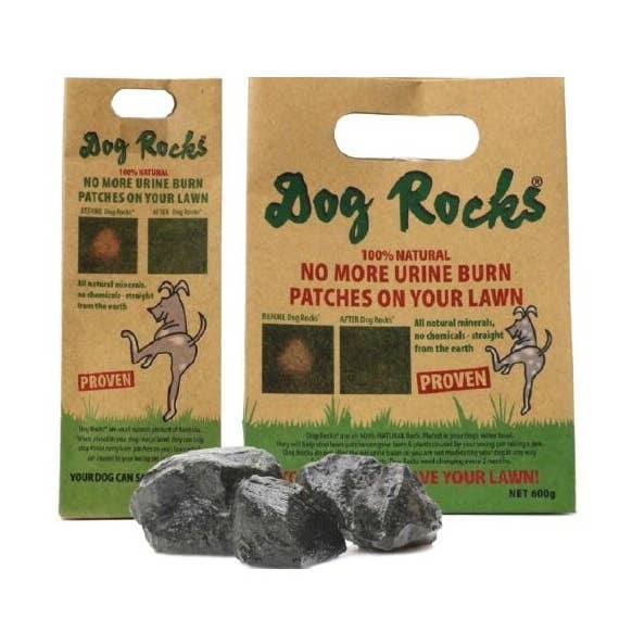 Dog Rocks Display – 200 g & 600 g für den Großhandel von Only An Ocean Europe