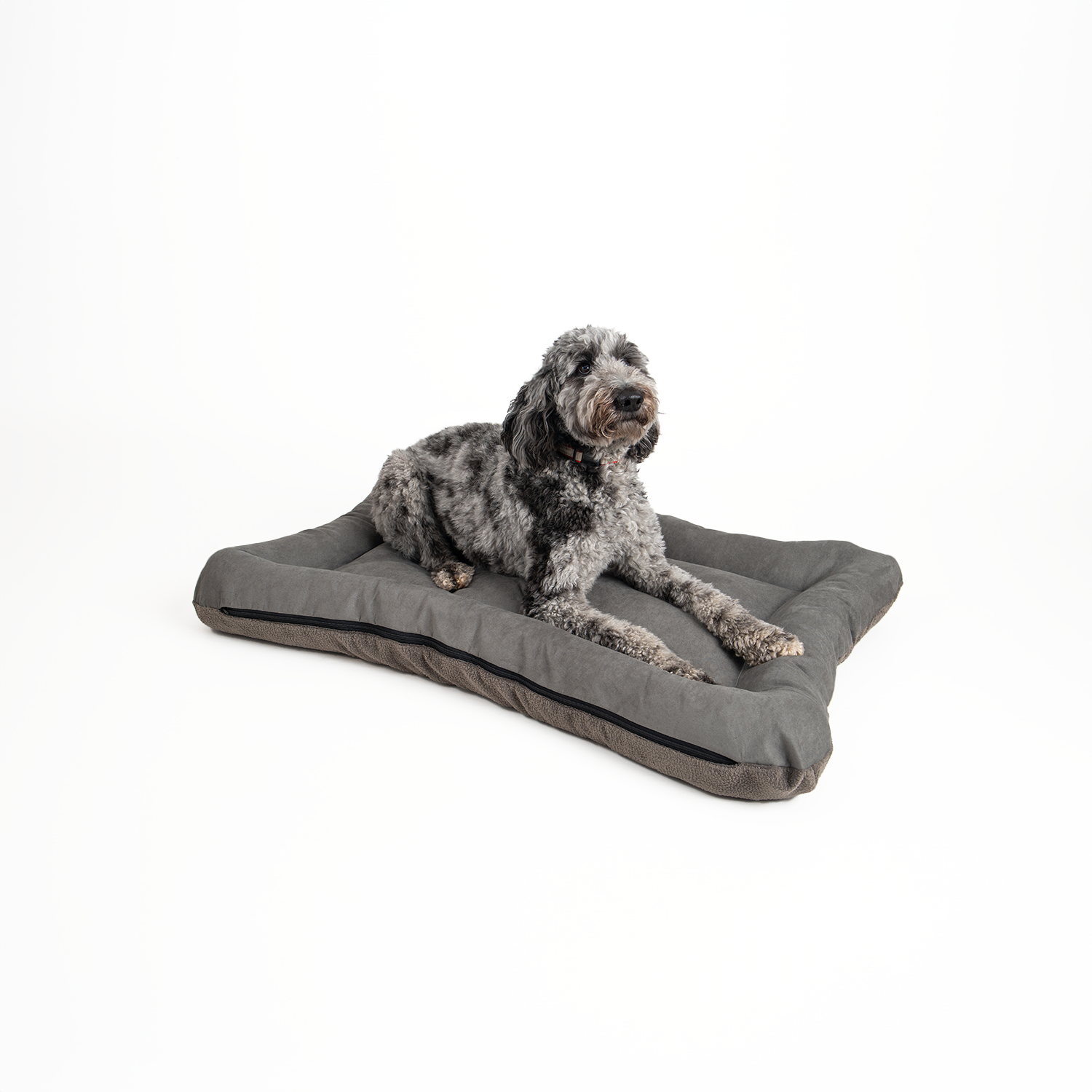 Snoozer Pet Products - Vendita all'ingrosso Letto - Cani - Cuccia per Cani All Day di Snoozer20