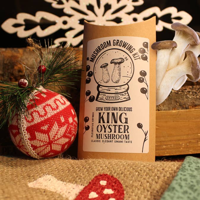 Kit de culture de champignons King Oyster Gourmet Holiday Edition pour la vente par The Mushroom Conservatory LLC