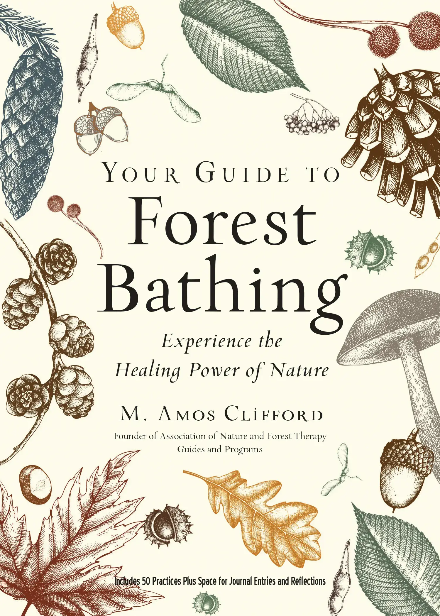 Red Wheel/Weiser LLC - Wholesale Nature & Outdoors Book - Your Guide to Forest Bathing: Expanded Edition1