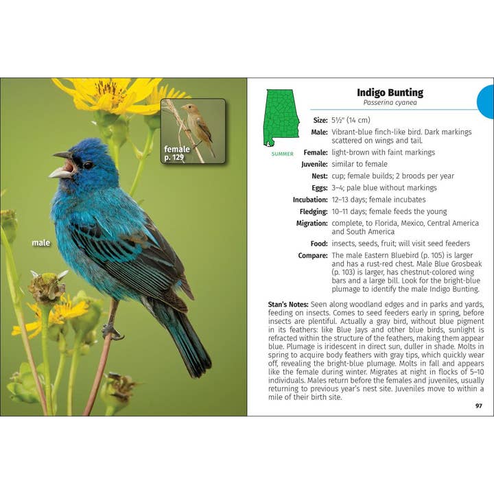 AdventureKEEN - Wholesale Nature Guide - Birds of Alabama Field Guide 2e