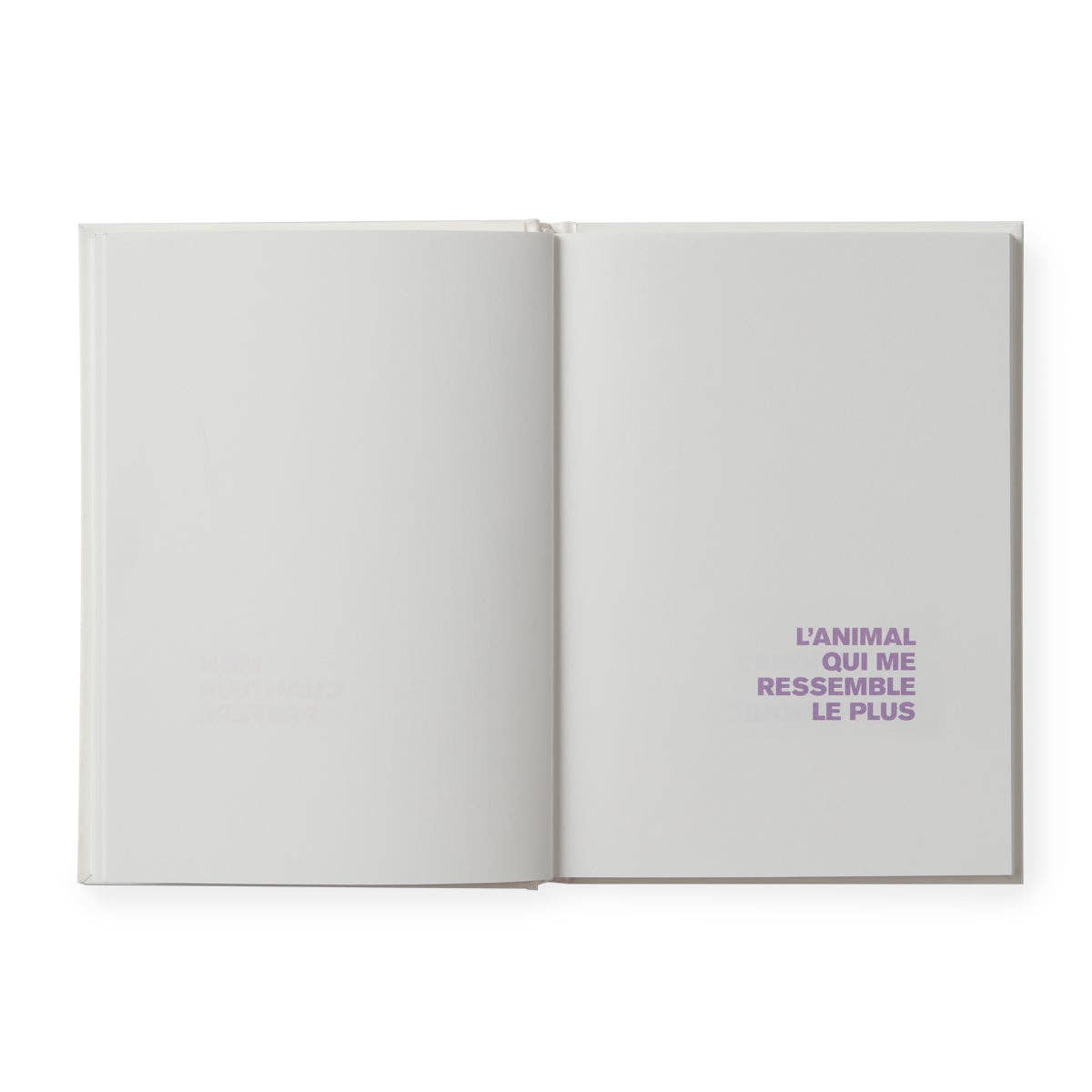 Supereditions - Wholesale Coloring & Activity Book - Adult - Book to illustrate - me2