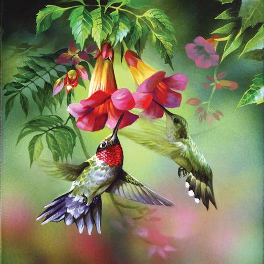 Puzzle Summer Hummer 0697 de 1000 pièces pour la vente par SunsOut