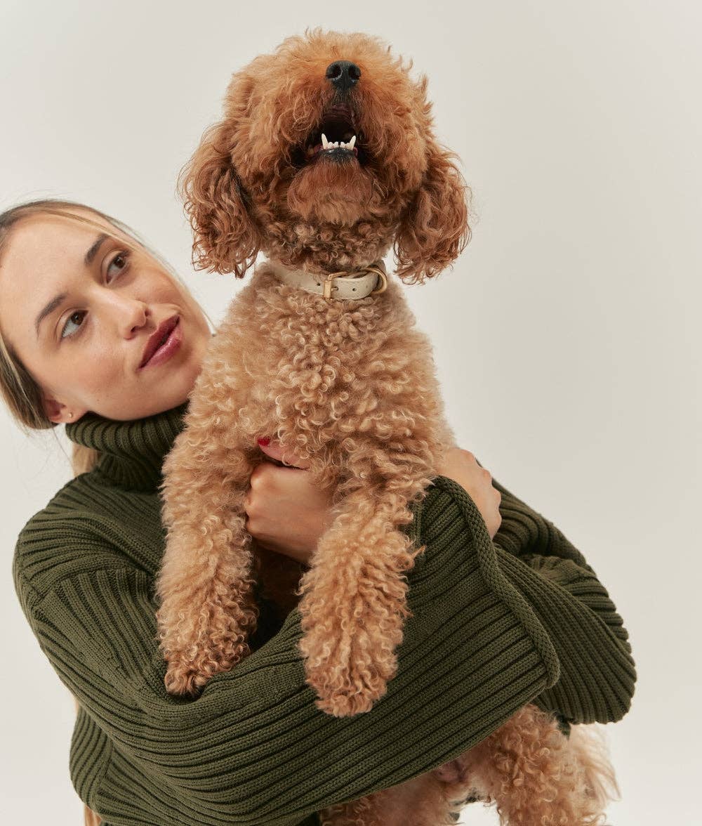 CAFIDE - Wholesale Pet Collar - Dog - Beige Vegan Leather Collar, Jala1