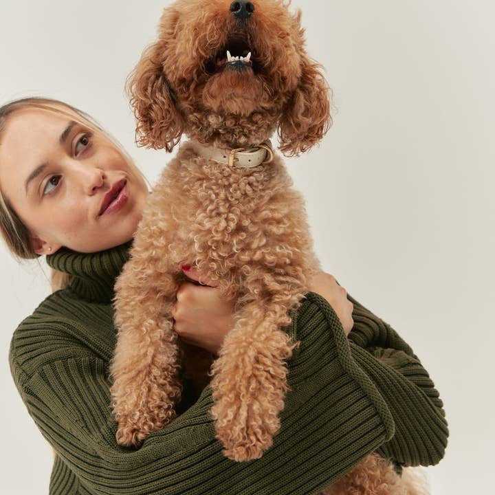 CAFIDE - Wholesale Pet collar – Dog - Beige Vegan Leather Collar, Jala1