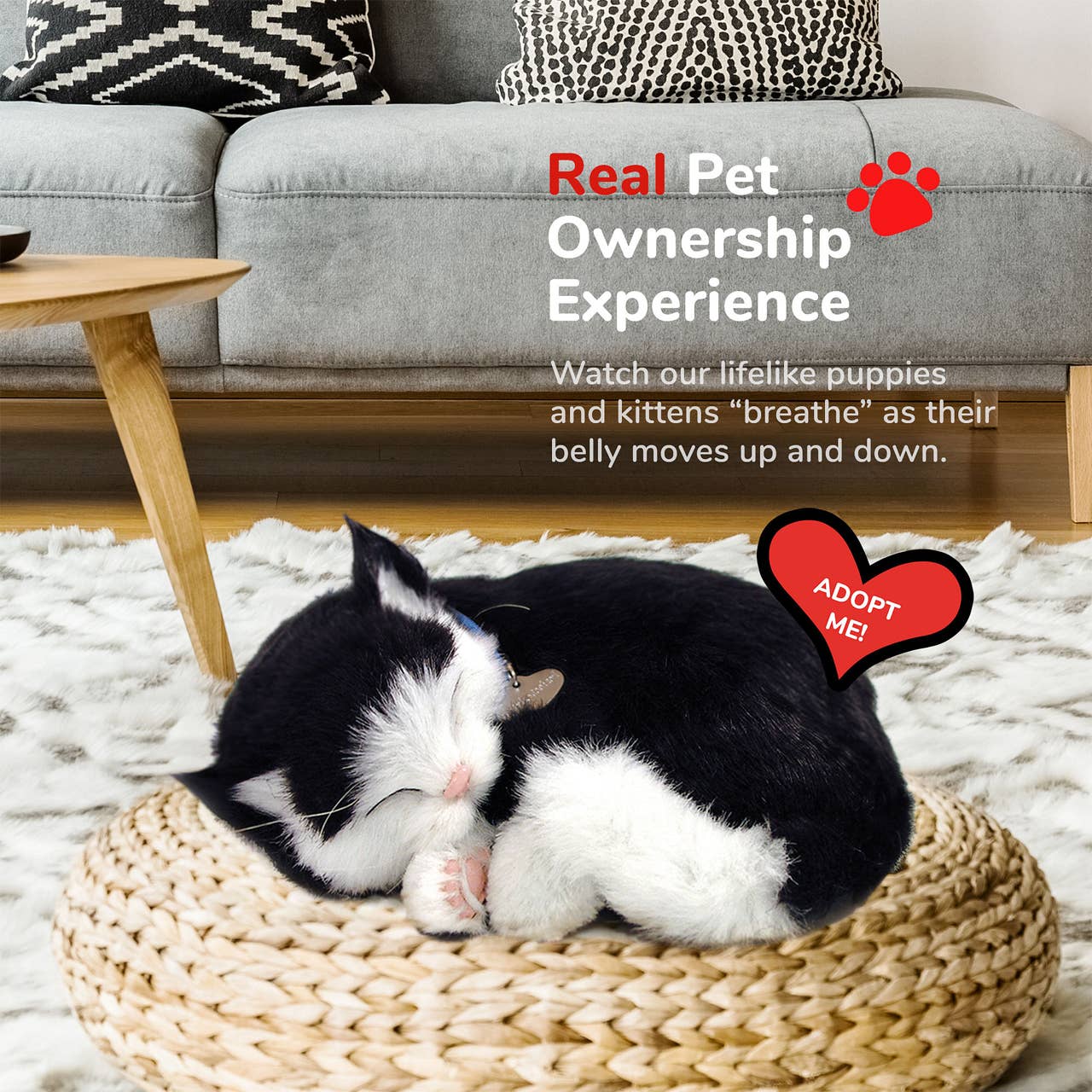 Kelli's - Wholesale Pet Plush Toy - Dog - Perfect Petzzz - Black & White Kitten4