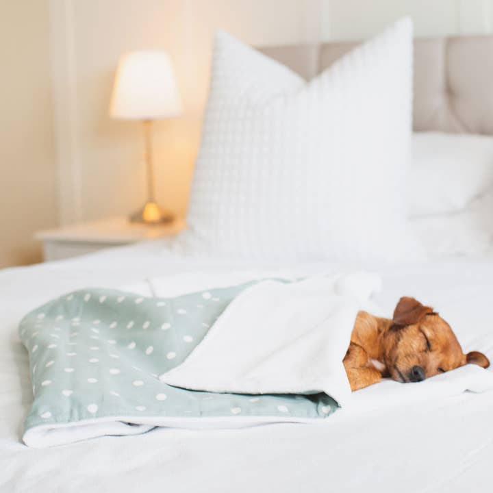 Lords and Labradors – wholesale Pet blanket – Dog – Dog & Puppy Blanket in Spots & Stripes12