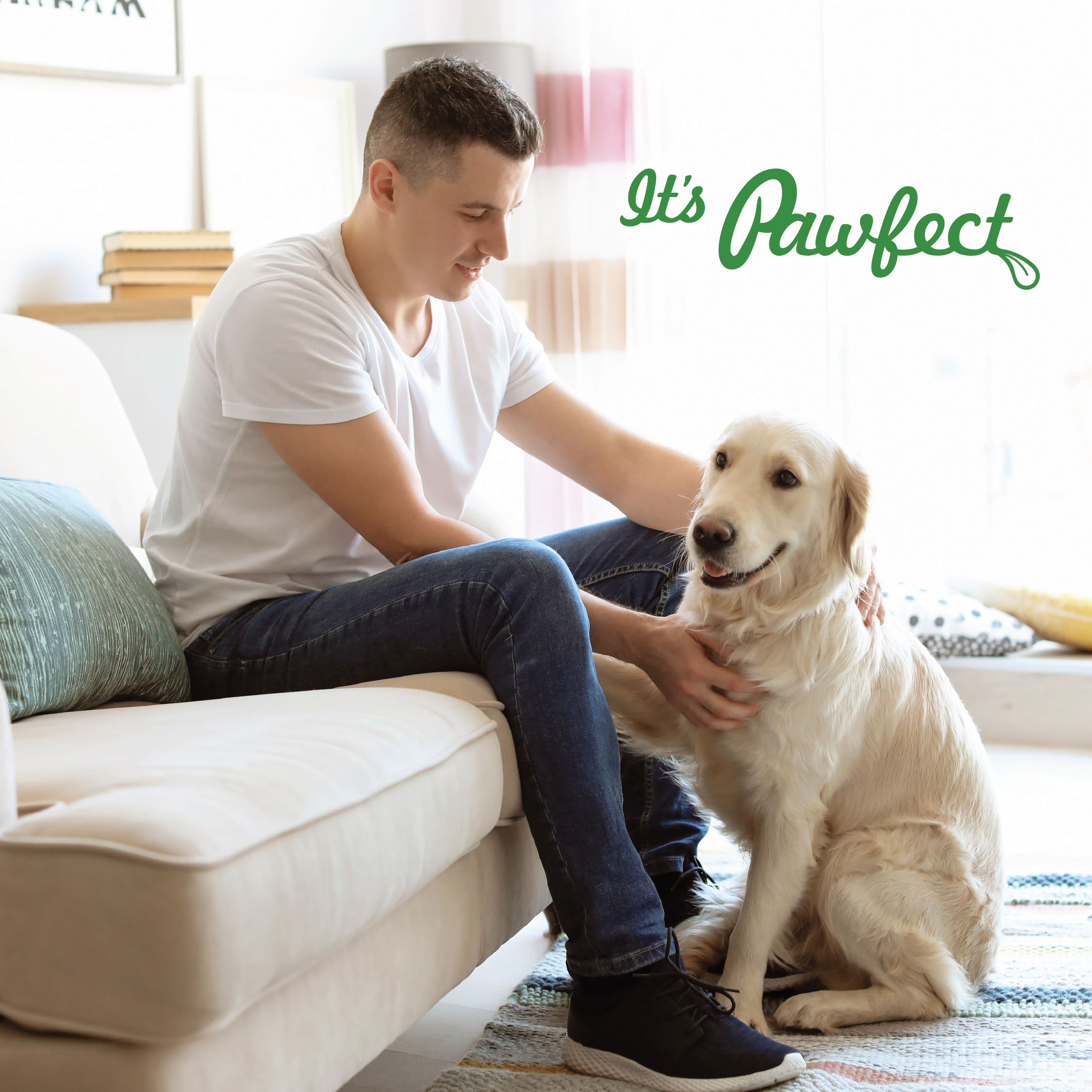 Pawfect Foods - Wholesale Pet Treats - Dog - Pawfect Himalayan Cheese Chew for Medium Dogs | Variety Pack of 6 | Strawberry, Blueberry, Cranberry, Aloe, Turmeric, Mint |Grain-free, All Natural long-lasting dental chews(390g/13.76oz)4