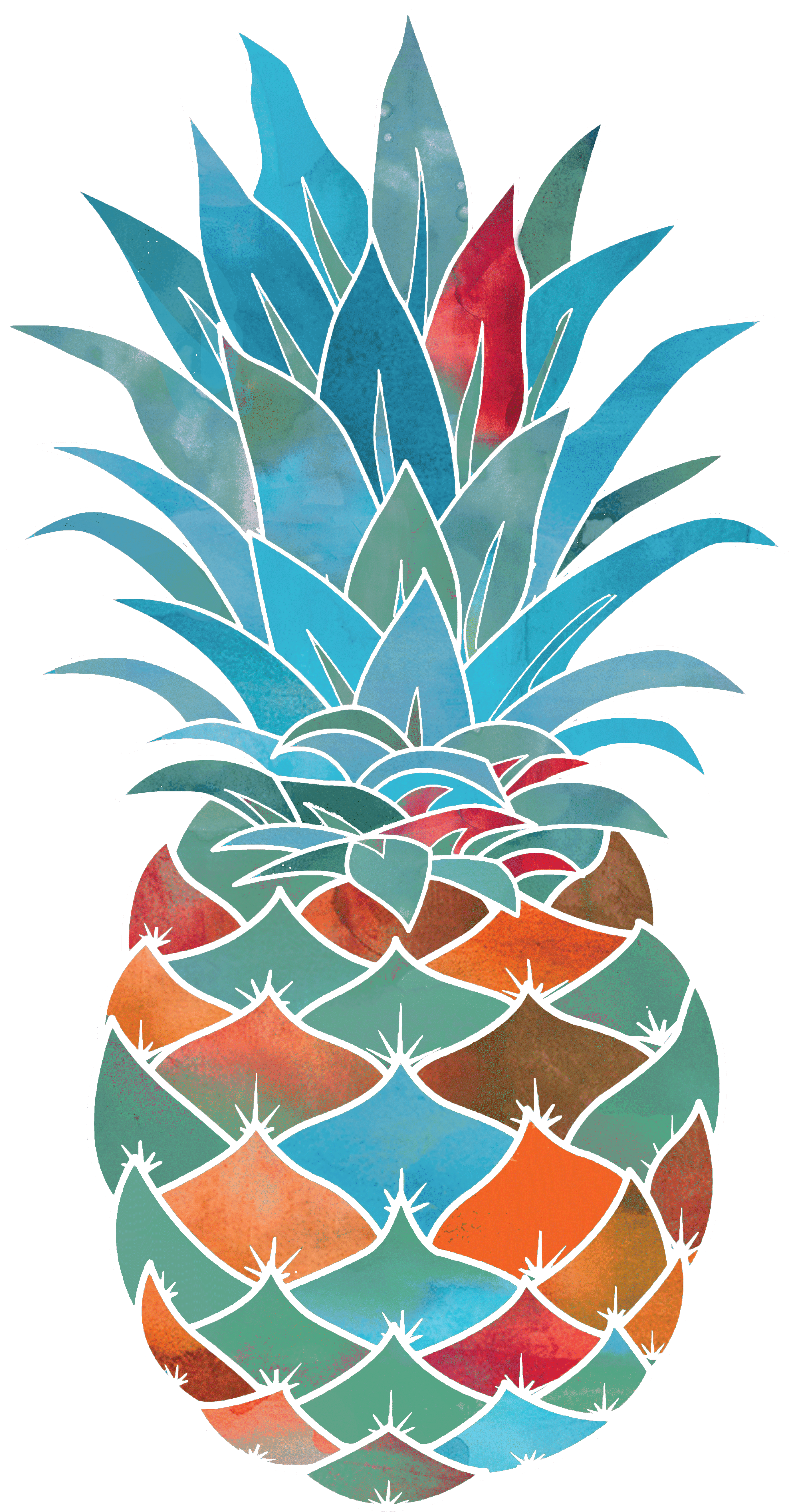 Ox Bow Decor - Wholesale Hand Towel - Floral/Nature/Variegated Pineapple Hand Towel1