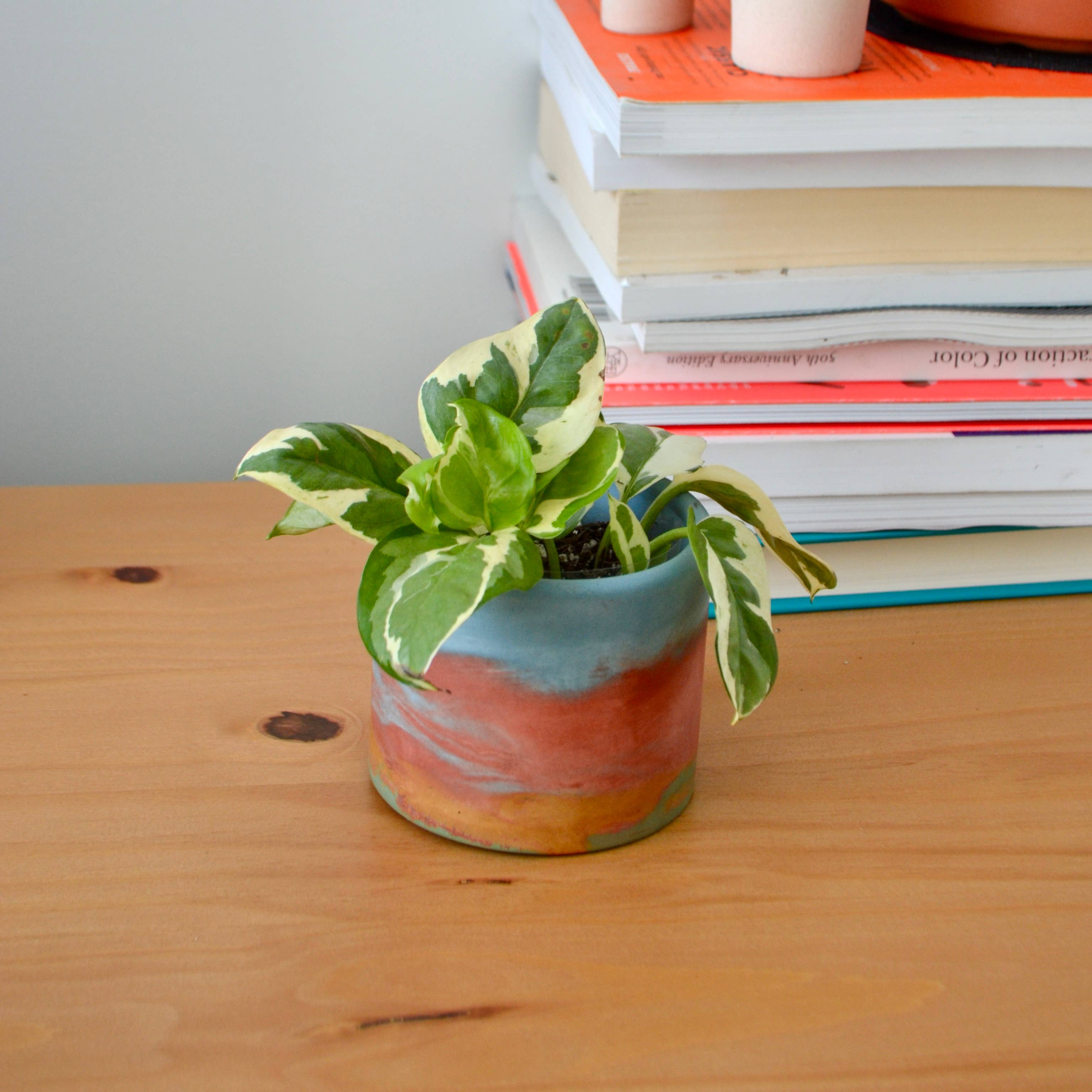 LindaMakess - Wholesale Plant Pot - Rainbow Watercolor mix planter | multiple sizes1