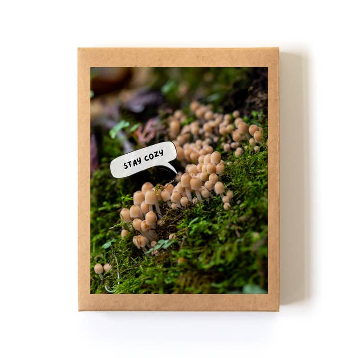"Stay Cozy" Boxed Card Set (8 Cards + Envelopes) for wholesale by Andrea Morris Art