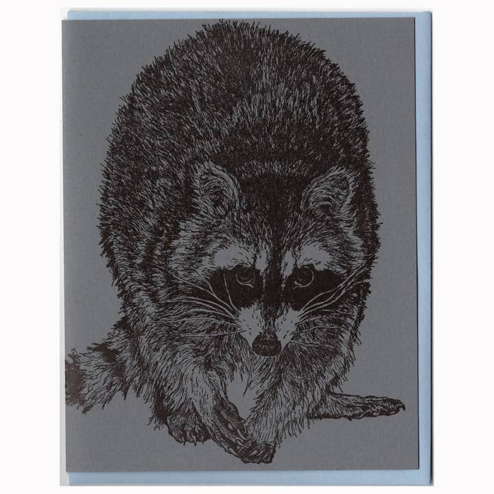 Vaskebjørnkort Brevtryk for engroshandel hos Dandy Lion Press