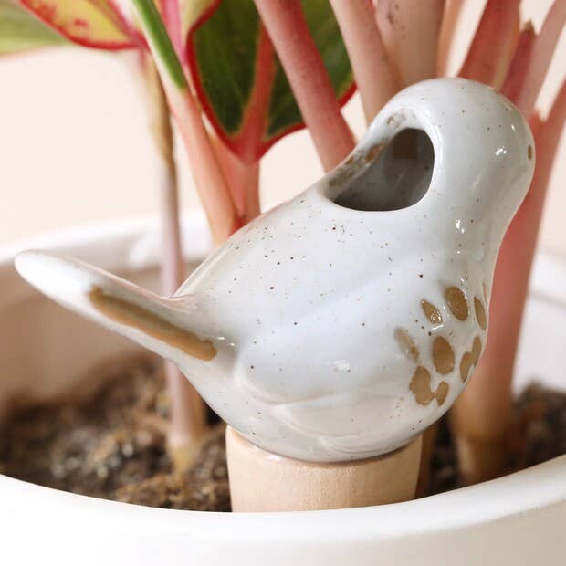 Lisa Angel - Wholesale Garden tool - Ceramic Bird Plant Watering Spike2