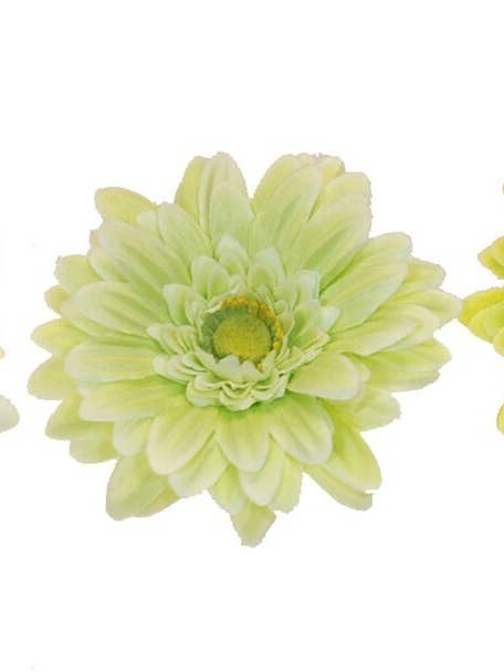 R.Gerberillas X1 grøn 45 cm (7) for engroshandel hos Aguilar Málaga