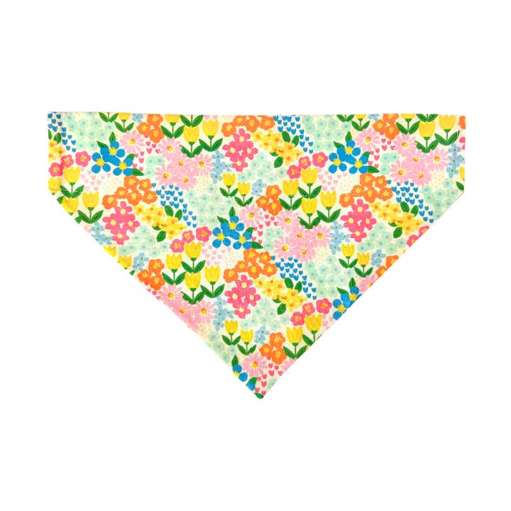 Collette Katzen-Bandana für den Großhandel von Fetch Mart