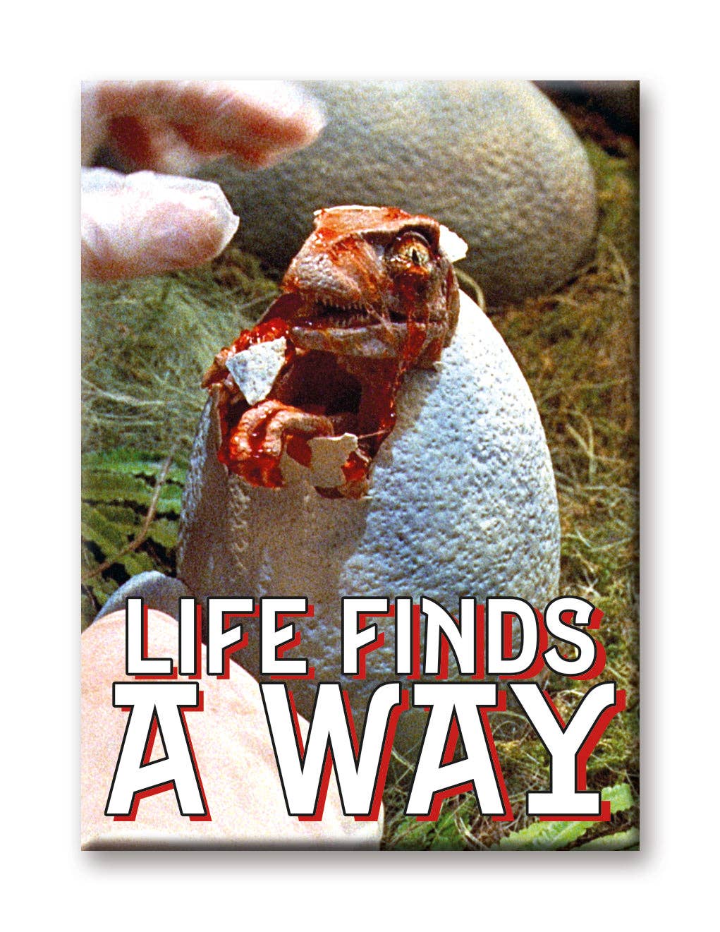 Great Stuff Novelties (GSN) by NMR Brands - Wholesale Magnet - Jurassic Park - Life Finds A Way Flat Magnet (2.5" x 3.5")1