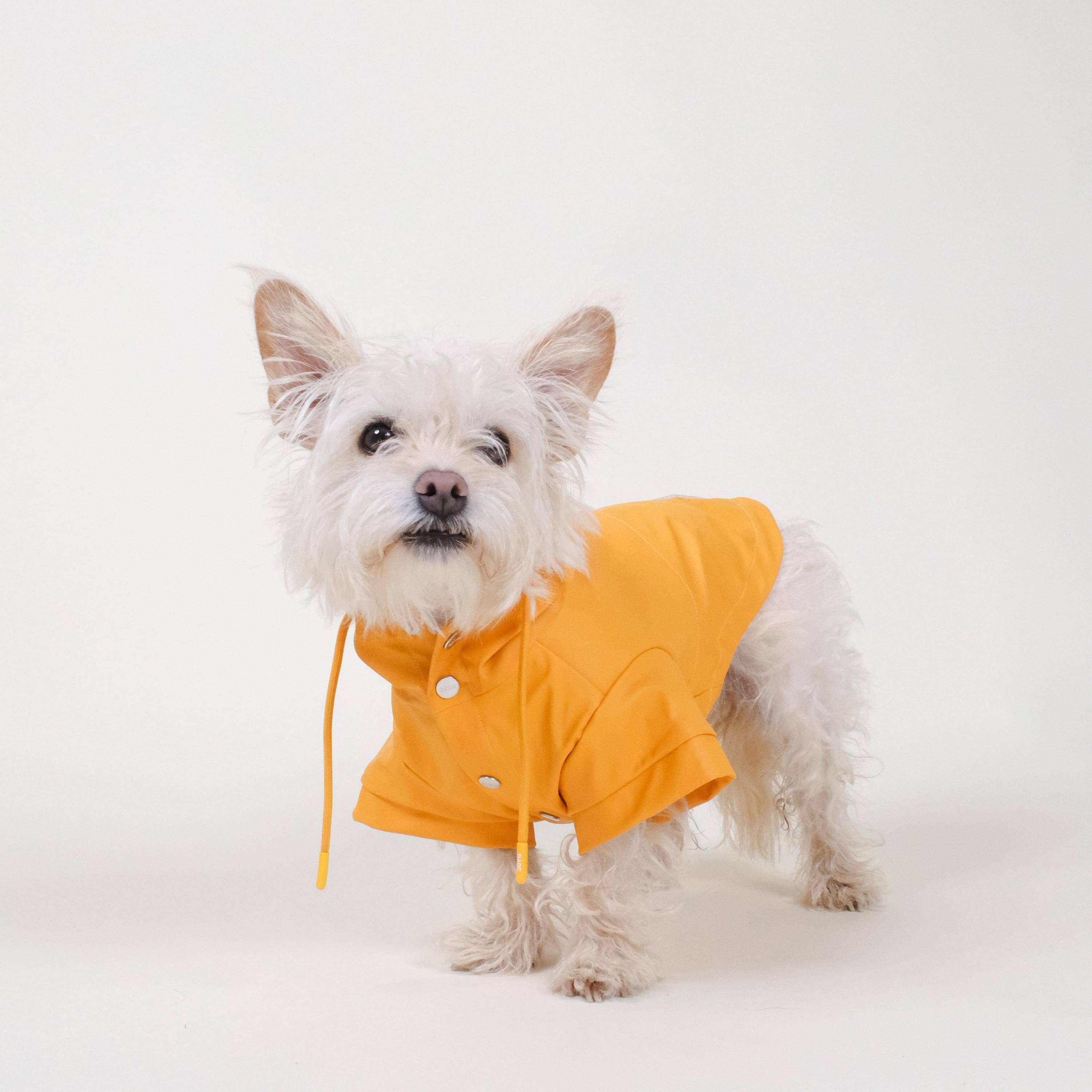 Barc London - Wholesale Pet Raincoat - Dog - Orange Dog Raincoat | Stylish Dog Coat | Waterproof Dog Coat1