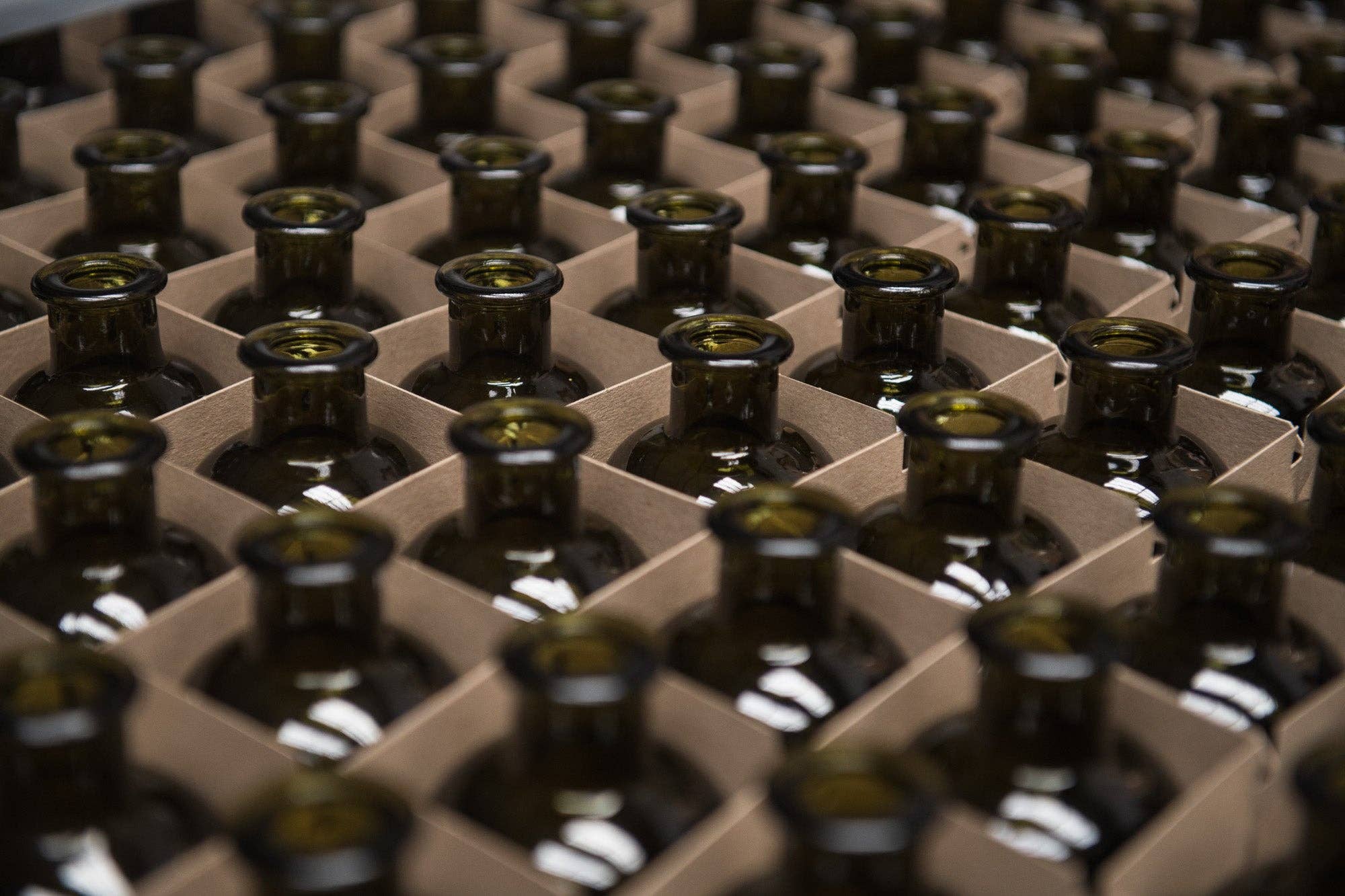 MAISON 16 - LOCA - Wholesale Liqueur - GDE Sapinette 45% - container of your choice4