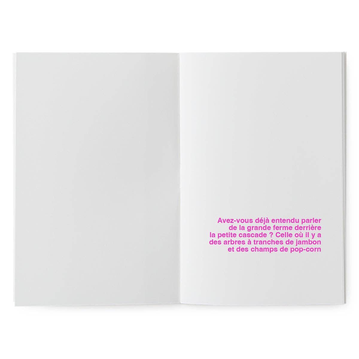 Supereditions - Wholesale Crafts, Hobbies & DIY Book - Illustrative book - the potato in love1