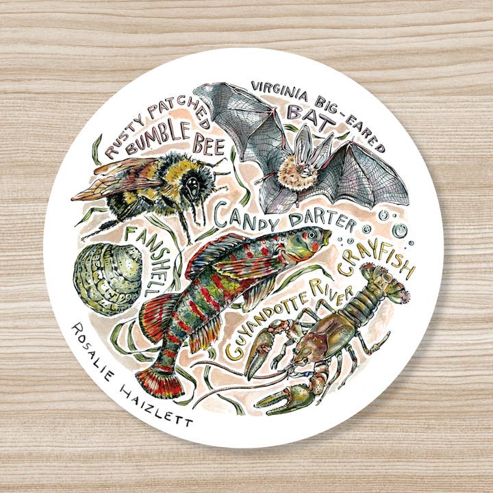 Adhesivo impermeable para especies en peligro de extinción de Virginia Occidental para venta al por mayor de Rosalie Haizlett Illustration