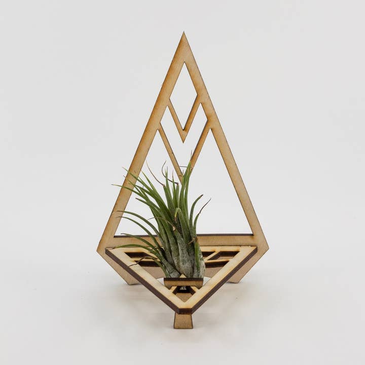 Botanisk samling | Luftplanteholder | Trekant Design for engroshandel hos Makery Maven Co.