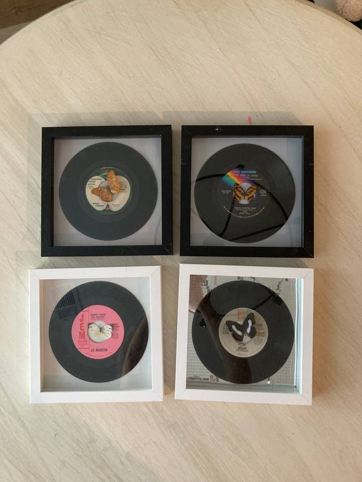 Flore & Faune / Boîte à ombre pour disques vinyles 45 tours pour la vente par Budding Flowers Art