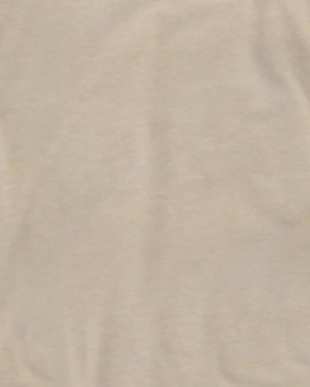 INTO THE AM - Wholesale T-Shirt - Men's - Men's Premium Basic Tee - Soft Fitted Blank T-Shirts32