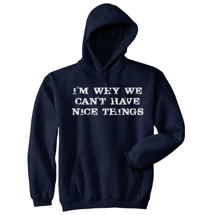 I'm Why We Cant Have Nice Things Hoodie Sarcastic Graphic for wholesale by Crazy Dog T-Shirts