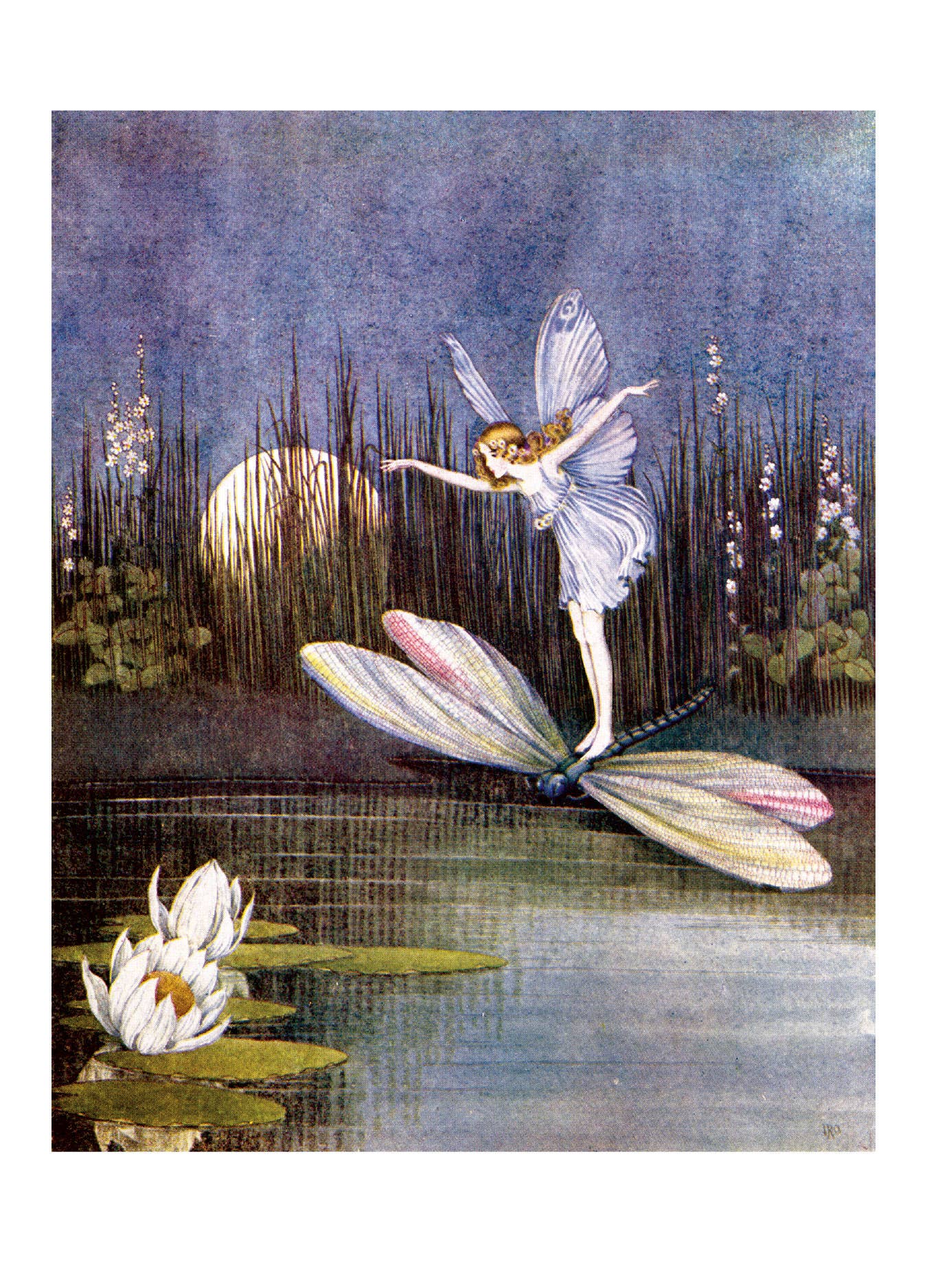 Laughing Elephant - Wholesale Everyday Greeting Card - Enchanting Fairies - Everyday Boxed Cards4