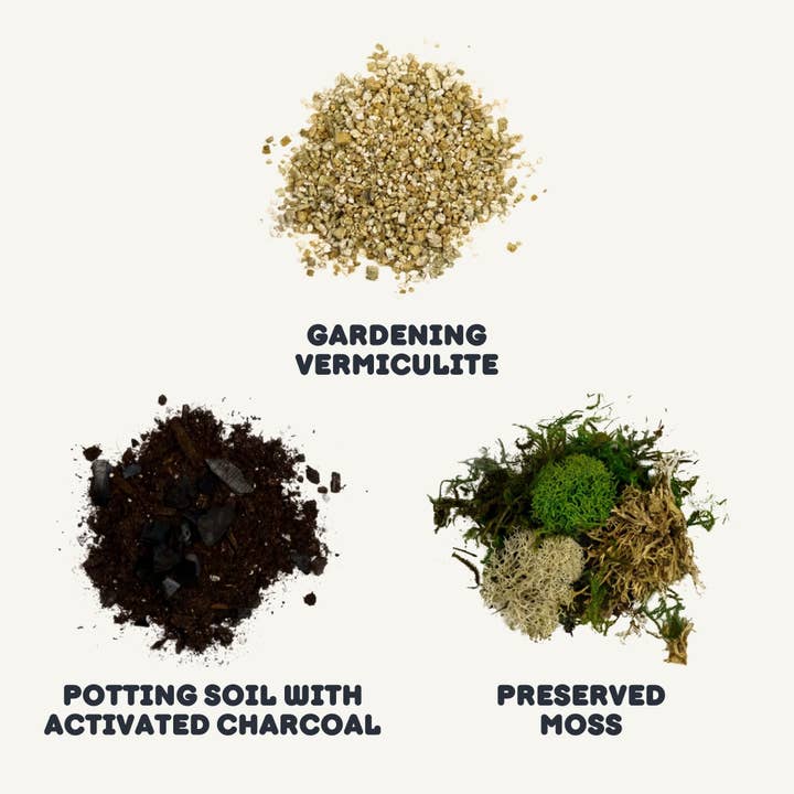 Cute Farms - Wholesale DIY Craft Kit - Small Terrarium Kit