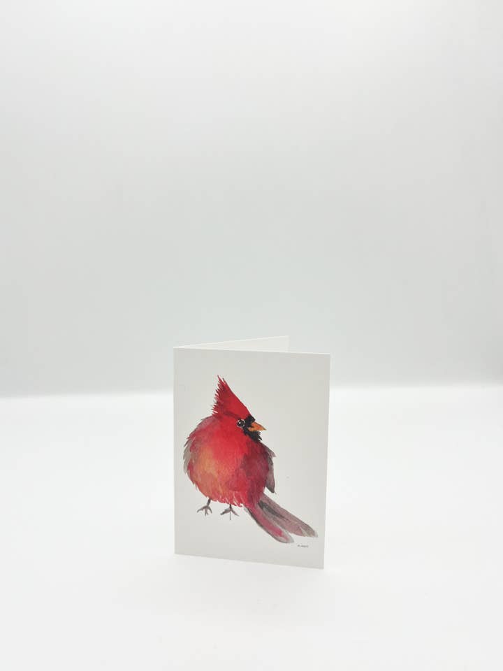 "Mr. Cardinal" pack of 20 enclosure cards & envelopes bird for wholesale by Melissa Hyatt