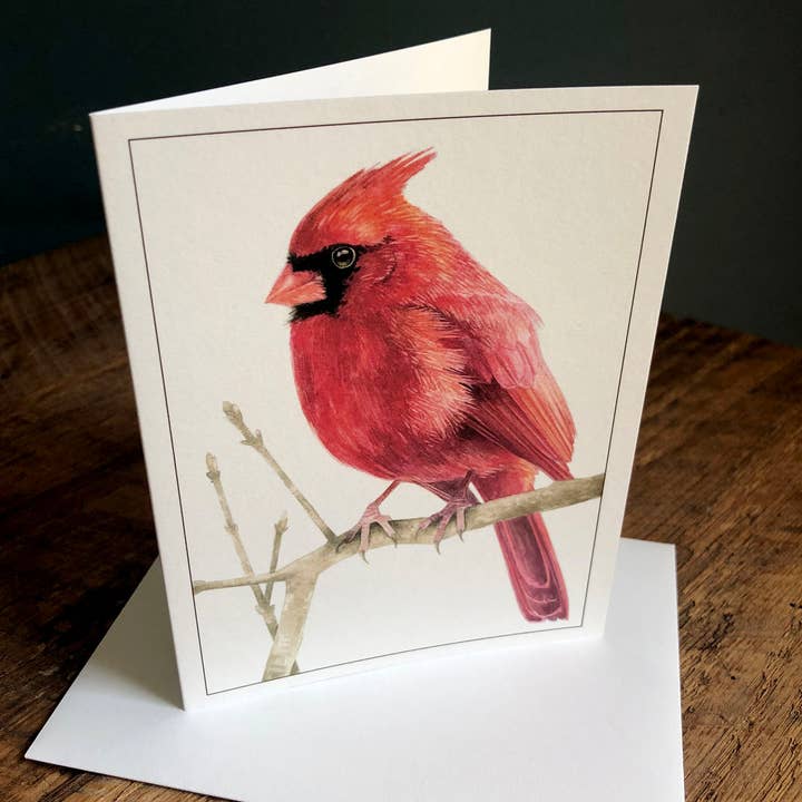 Amy Shawley Paquette - Wholesale Everyday Greeting Card - Northern Cardinal (Male) - Blank Note Card1