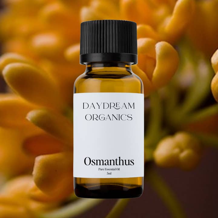 Daydream Organics | Prairie Doctor Brand - Wholesale Essential Oil - Osmanthus Essential Oil0