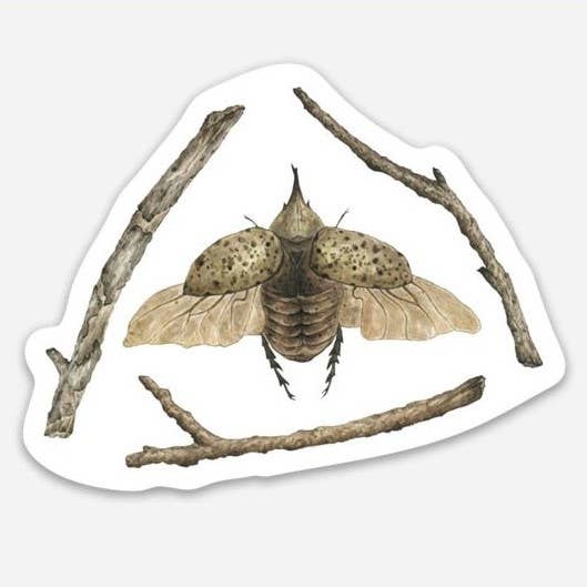 Hercules Beetle Sticker for wholesale by Jess Vartanian Illustration & Design