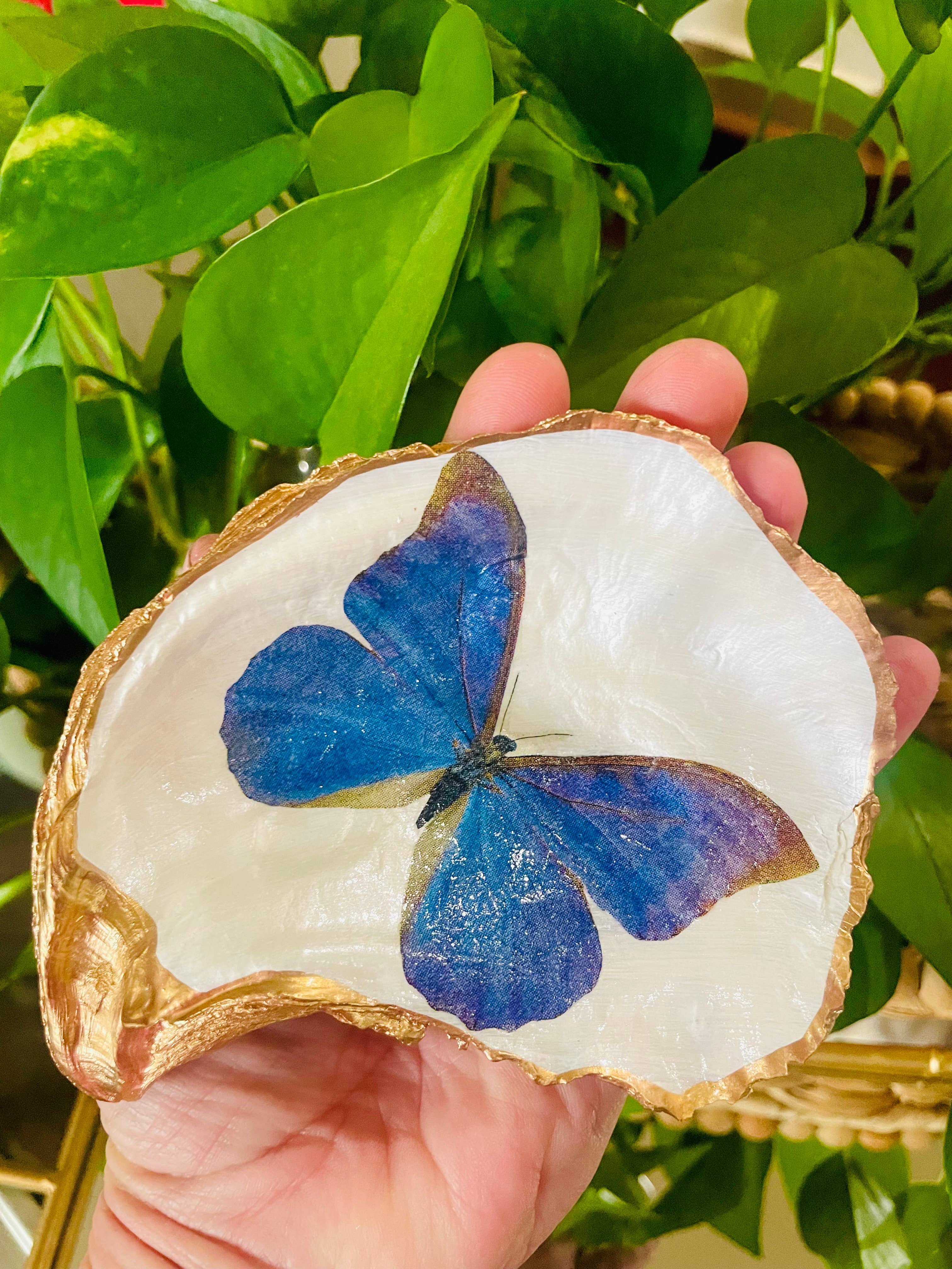 Shells by Shea - Wholesale Jewelry Dish - Oyster Shell Trinket Dish, Butterfly Trinket Dish2