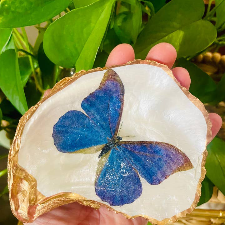 Shells by Shea - Wholesale Jewelry Dish - Oyster Shell Trinket Dish, Butterfly Trinket Dish2