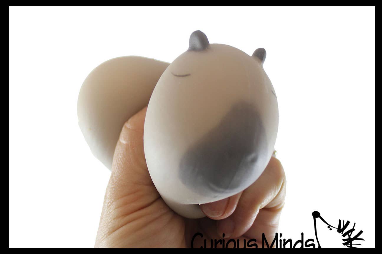 Curious Minds Toys - Wholesale Squishy Toy - Kids & Baby - 1 Capybara Squishy Squeeze Stress Ball Soft Doh Filling - L3