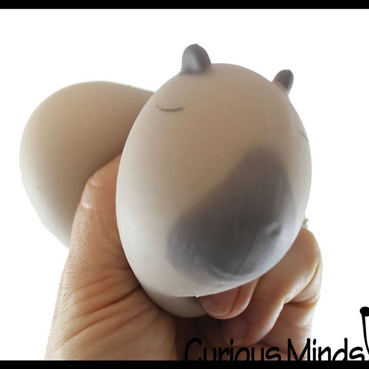Curious Minds Toys - Wholesale Squishy Toy - Kids & Baby - 1 Capybara Squishy Squeeze Stress Ball Soft Doh Filling - L3