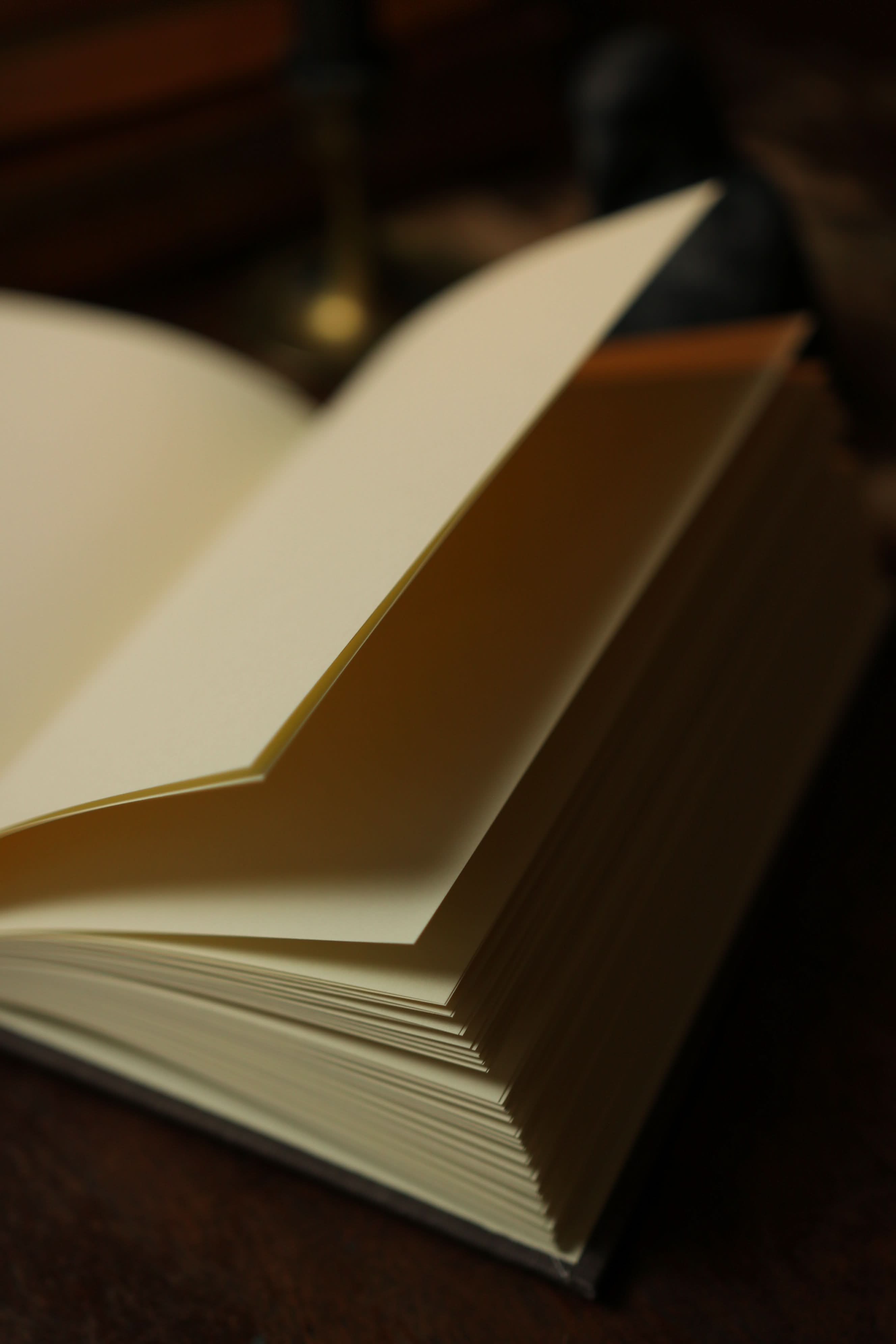 Novel Book Store - Vente Journal intime - Les œuvres poétiques complètes d'Edgar Allan Poe 1884 - Journal de lecture7