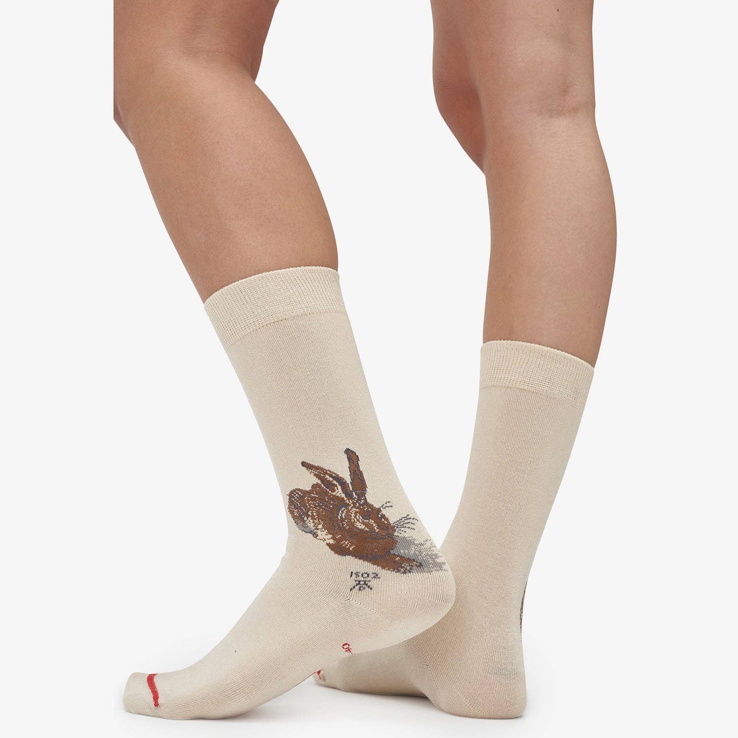 MuseARTa GmbH - Wholesale Sokken - Uniseks - Albrecht Dürer - Jonge haas4