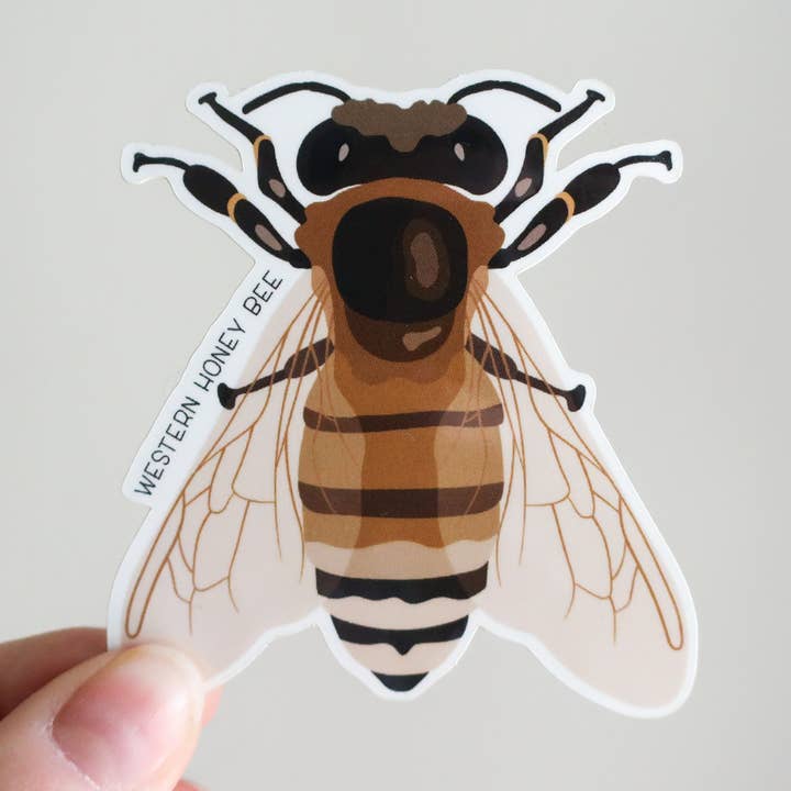 Western Honey Bee Waterproof Vinyl Sticker | Insect Nature for wholesale by Beehive 95 Designs