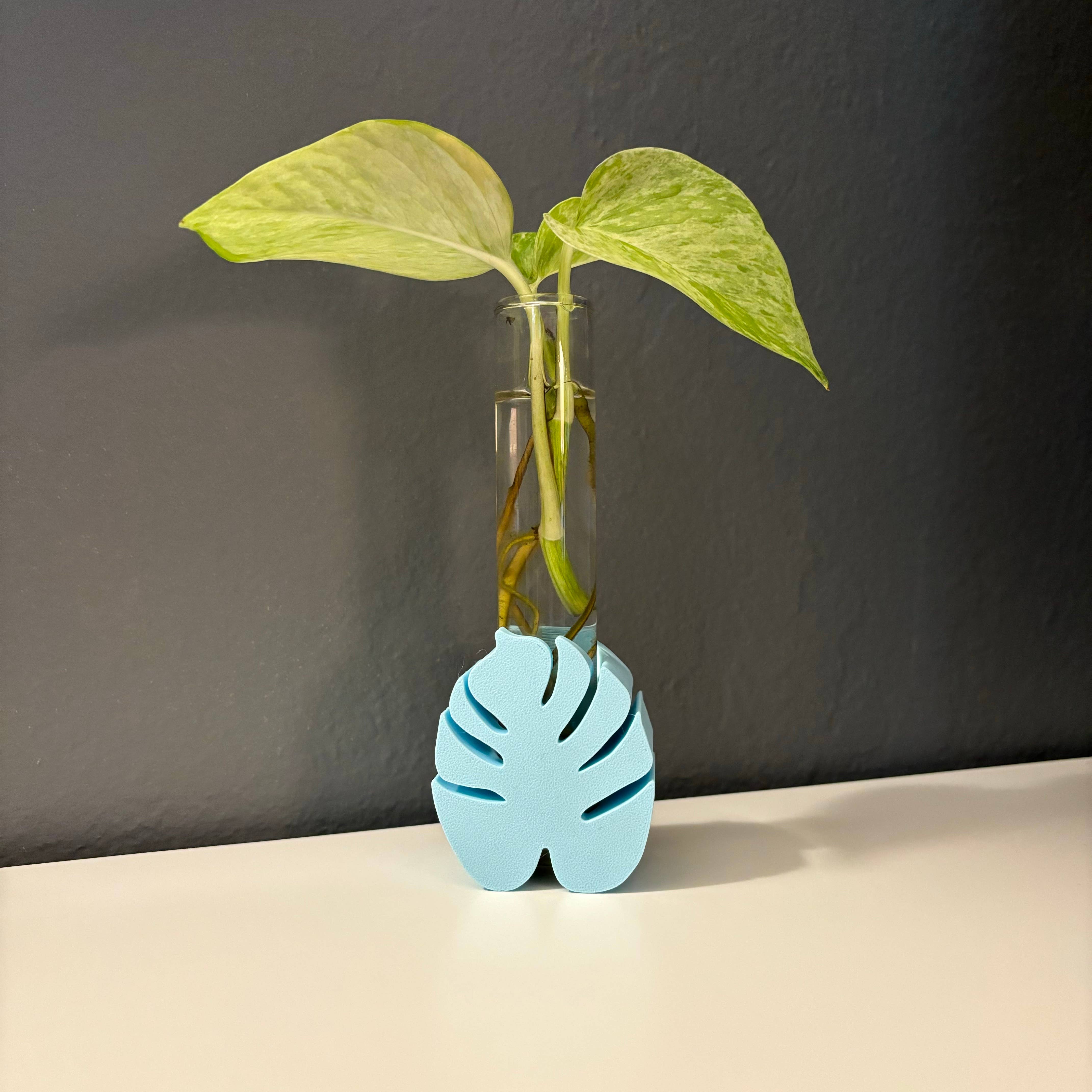 Plant Voyage – Vaso de plantas por atacado – Suporte para Propagação de Monstera Impresso em 3D pela Plant Voyage7