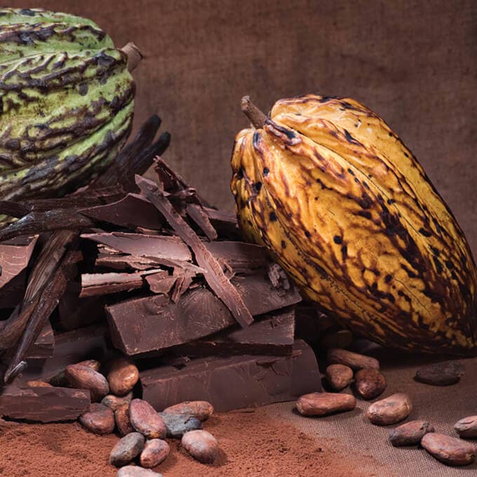 Ethereal Confections – Großhandel Blockschokolade – Kakaopulver (1 lb / 454 g)1