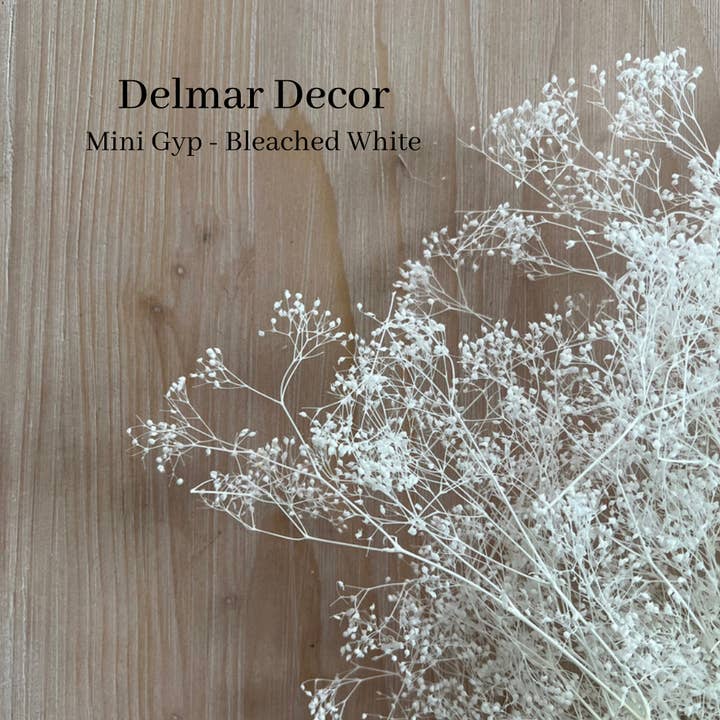 Preserved baby’s breath - White mini gyp for wholesale by Delmar Decor