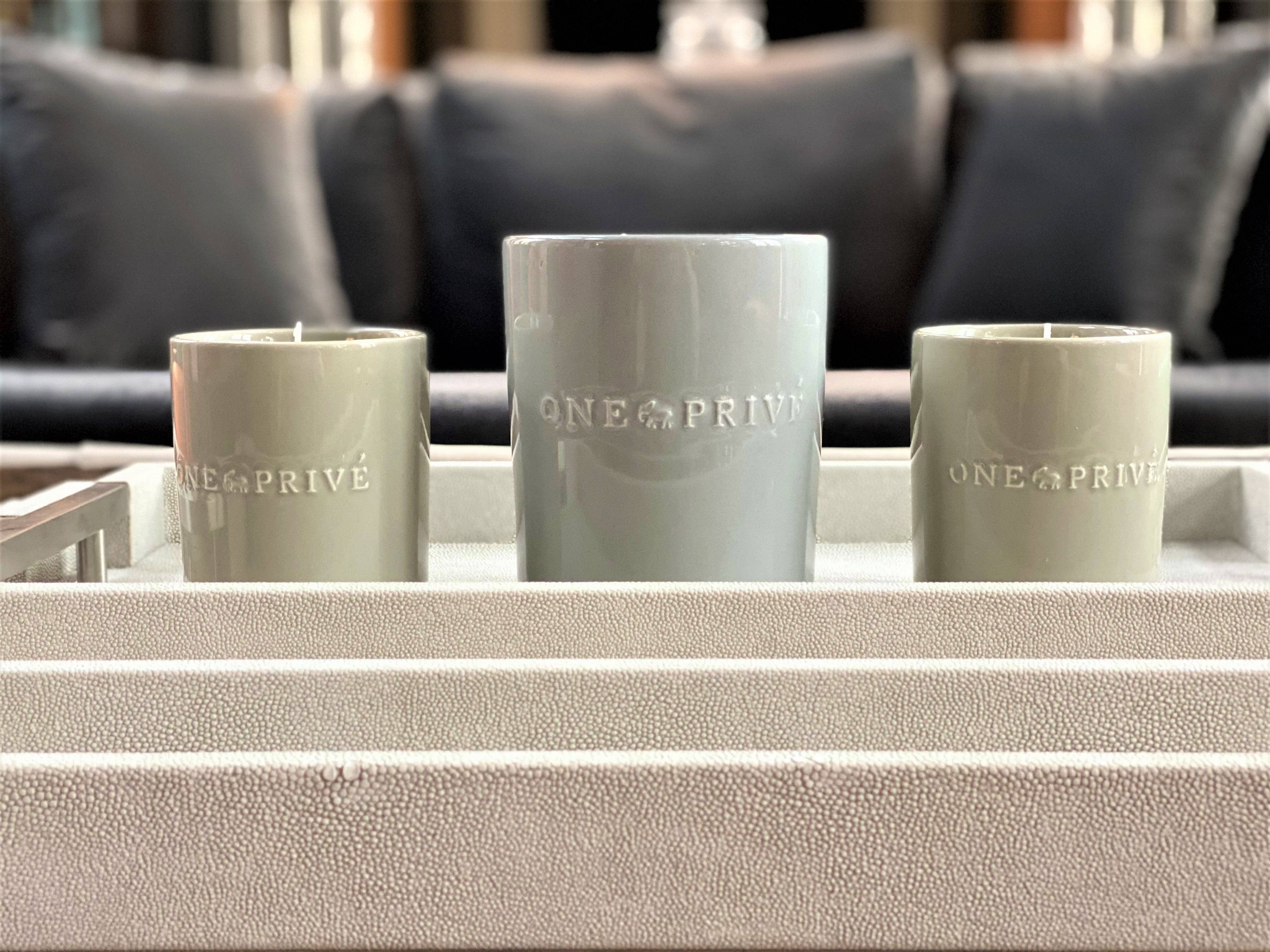 One Preevay Luxury Home Furniture & Decor - Wholesale Serving Tray - Thursby Luxury Shagreen Serving Tray | Exotic Embossed Leather | Nickel Handwear3