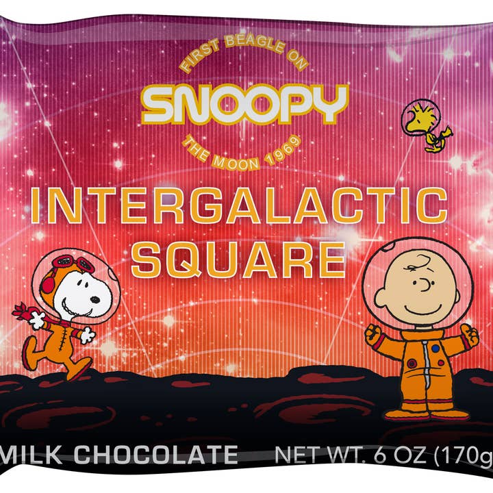 Chocolat au lait belge solide Space Peanuts Mega Square 6 oz pour la vente par Astor Chocolate Corp.
