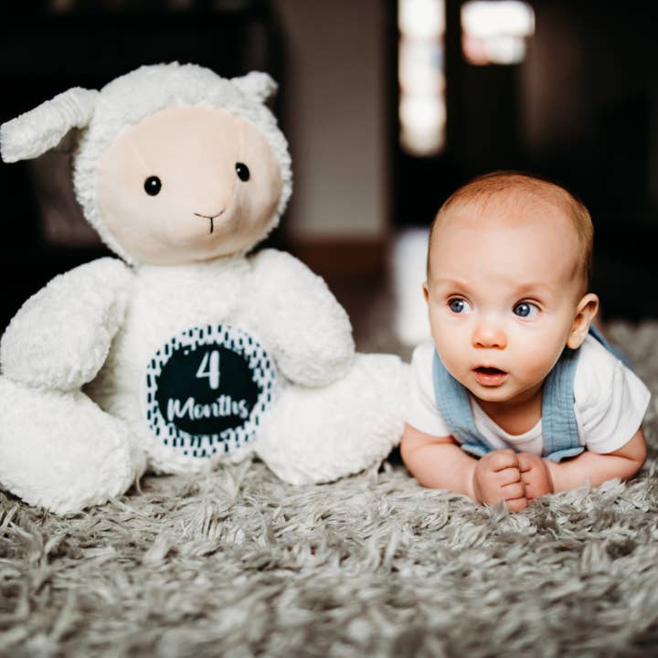 Grow With Me Baby Co - Wholesale Stuffed/Plush Toy - Kids & Baby - Baby Monthly Milestones, Lamb Stuffed Animal6