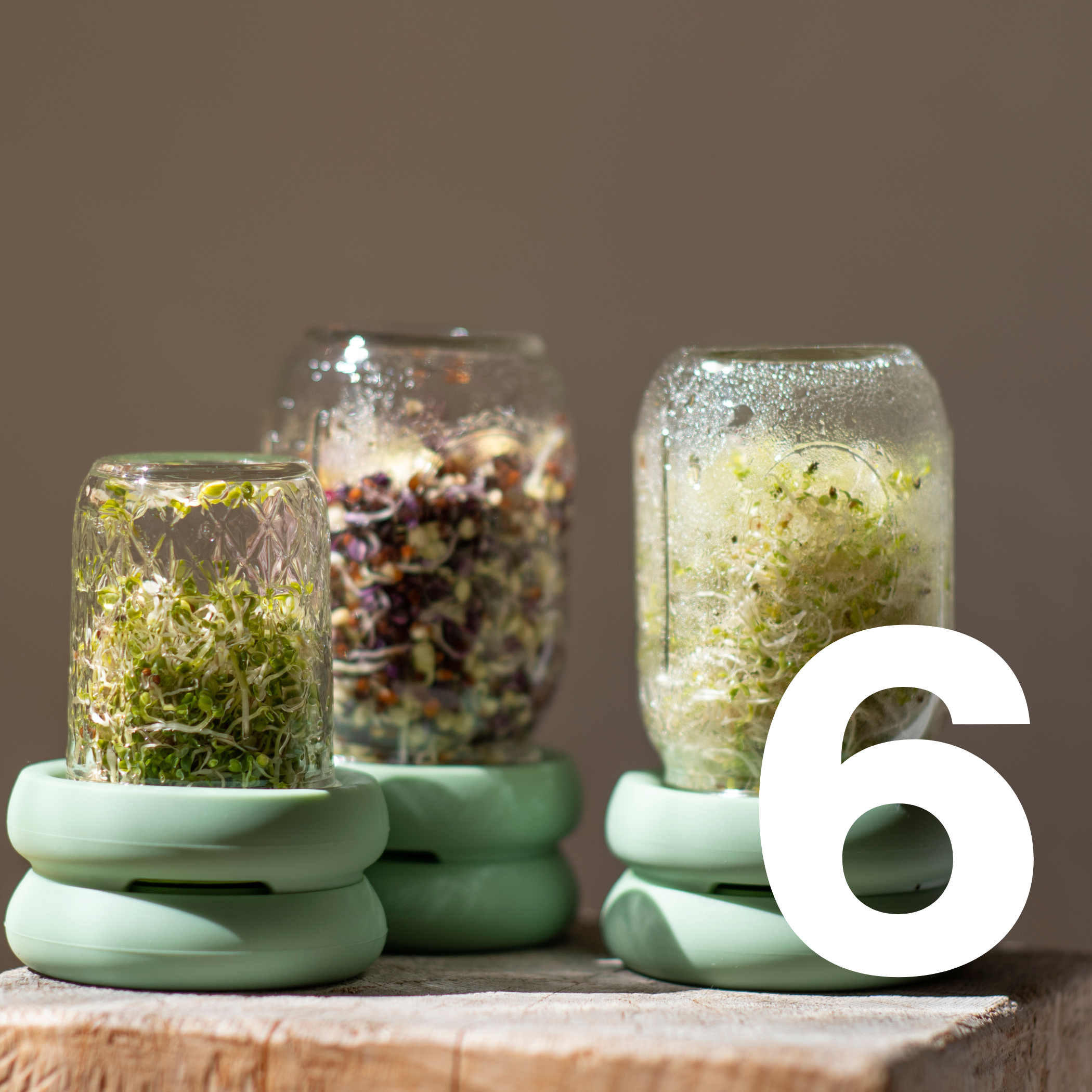 Eco warehouse - Wholesale Kitchen Tool/Gadget - Sprout Huggers ® Sage Green10